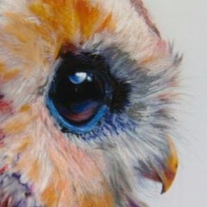 Meet your Posher, Ella